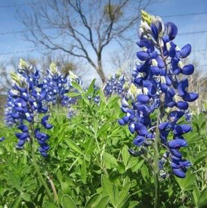 Meet your Posher, Dee